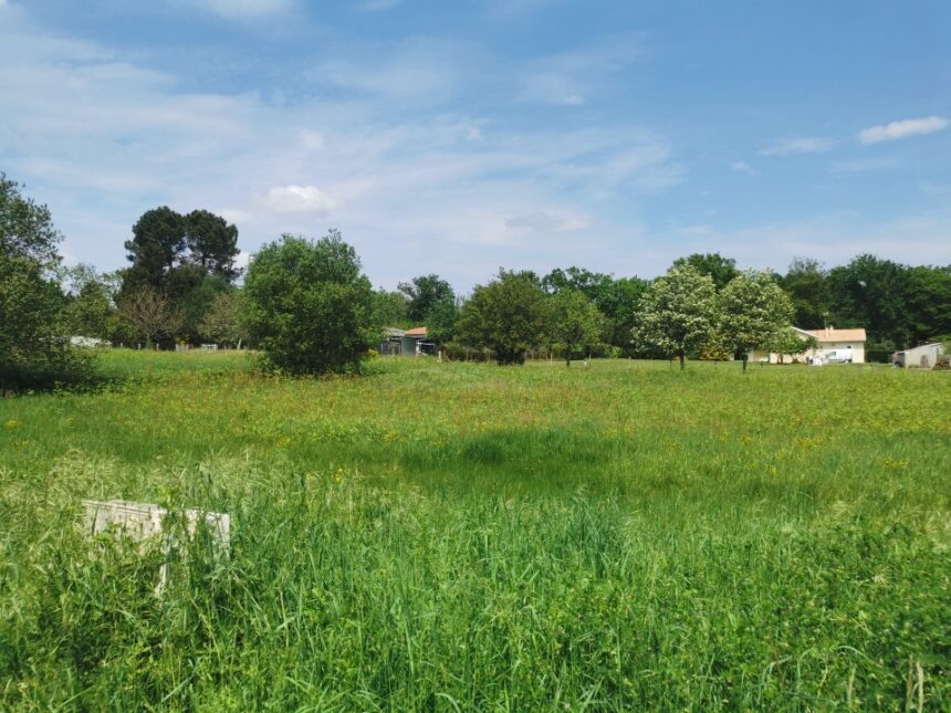 Terrain à bâtir à Bazas (33430)