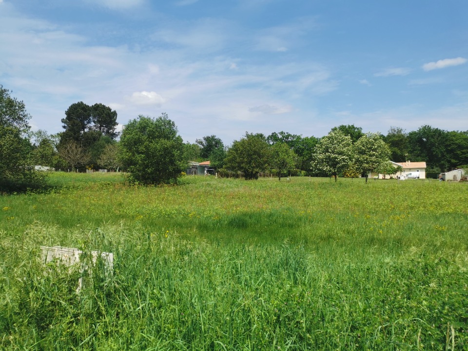 Terrain à bâtir à Bazas (33430)