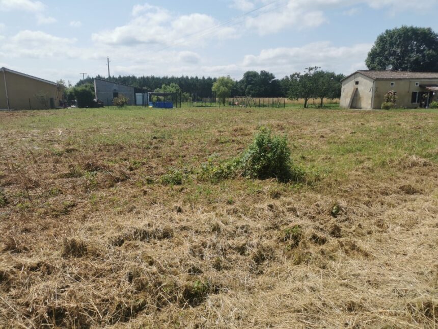 Terrain à bâtir à Cauvignac (33690)