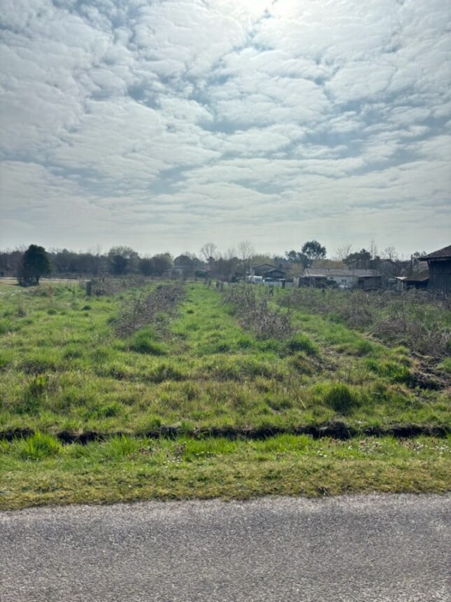 Terrain à bâtir à Saint-Michel-de-Castelnau (33840)