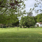Terrain à bâtir à Cissac-Médoc (33250)