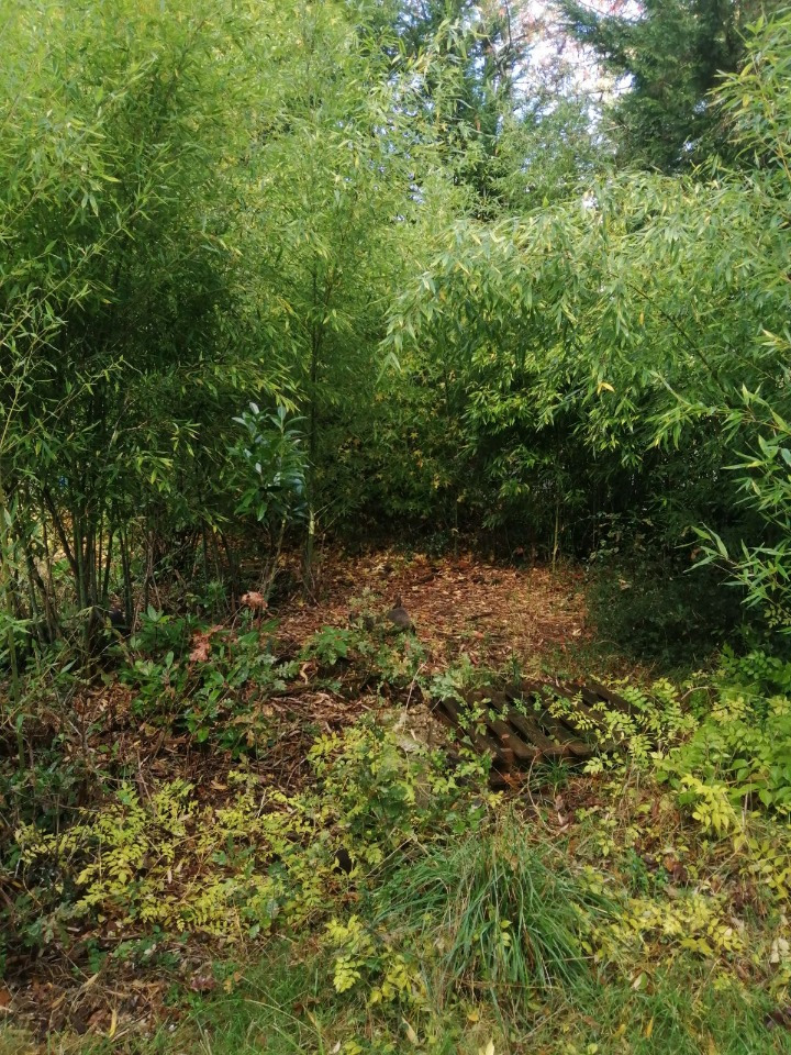 Terrain à bâtir à Le Pian-Médoc (33290)