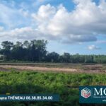 Maison à construire à Laluque (40465)