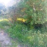 Terrain à bâtir à Biganos (33380)
