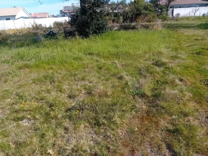 Terrain à bâtir à Biganos (33380)