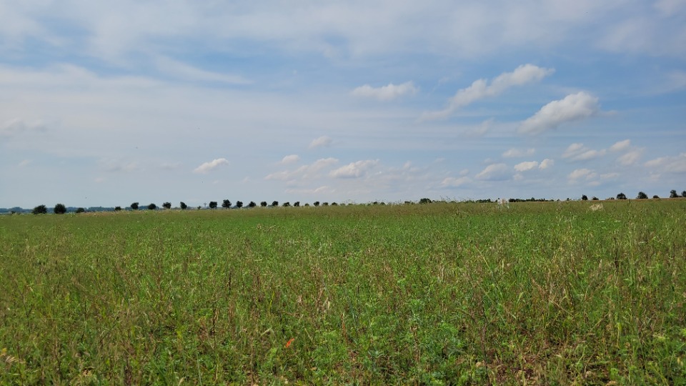 Terrain à bâtir à Andilly (17230)