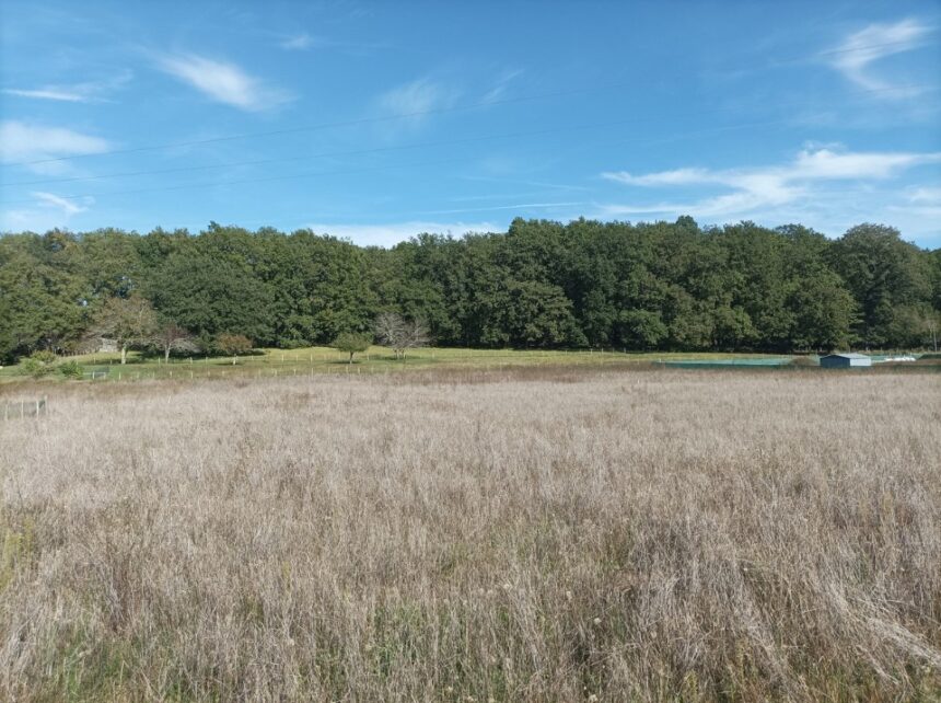 Terrain à bâtir à Lalinde (24150)