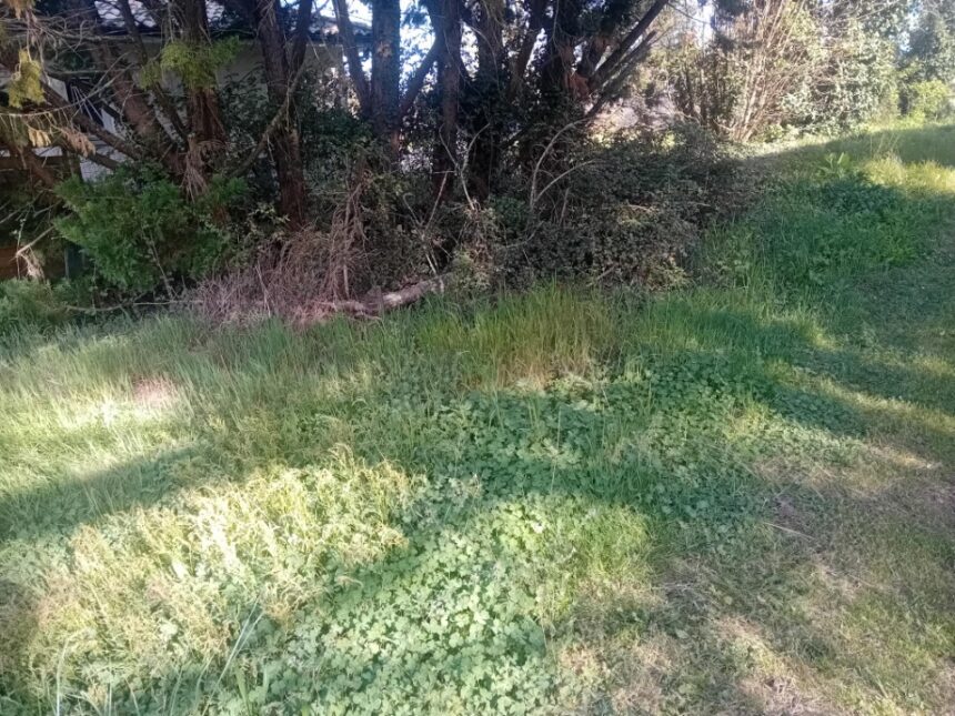 Terrain à bâtir à Biscarrosse (40600)