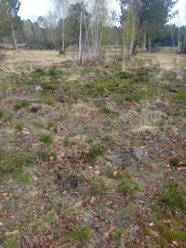 Terrain à bâtir à Gujan-Mestras (33470)