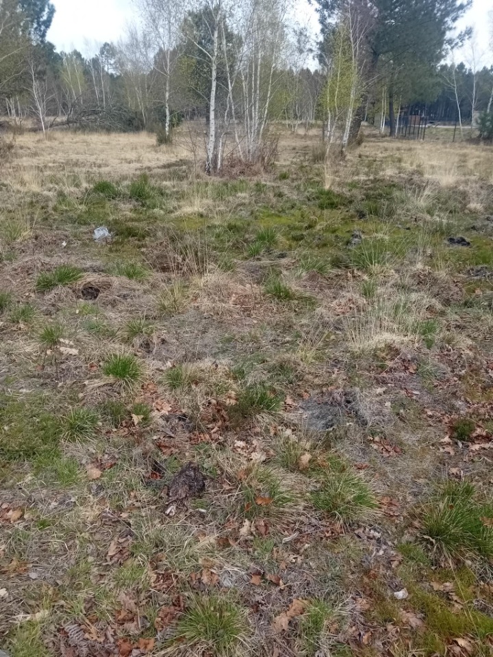 Terrain à bâtir à Gujan-Mestras (33470)