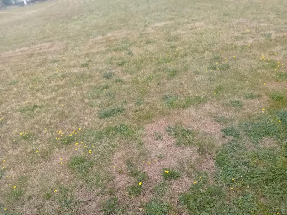 Terrain à bâtir à Mios (33380)