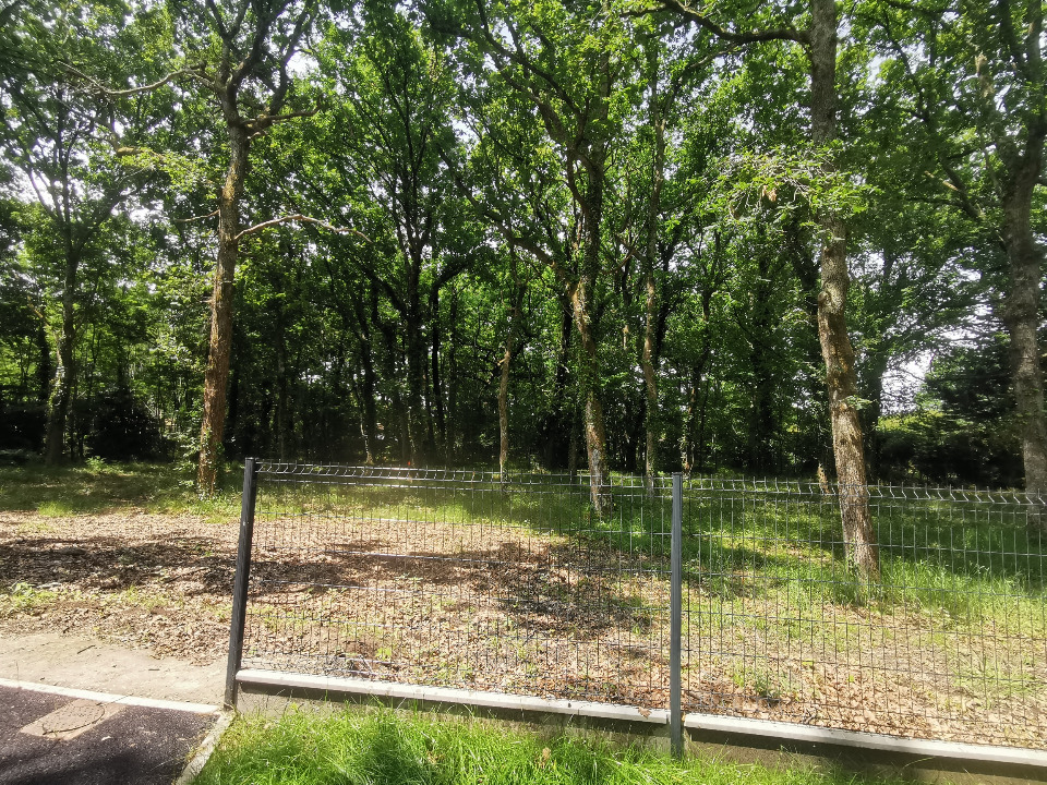Terrain à bâtir à Audenge (33980)