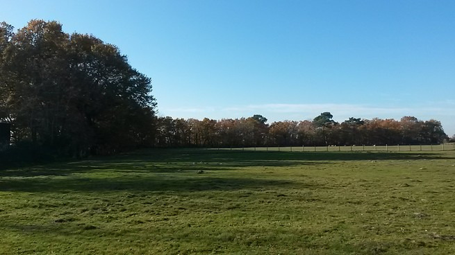 Terrain à bâtir à Le Porge (33680)