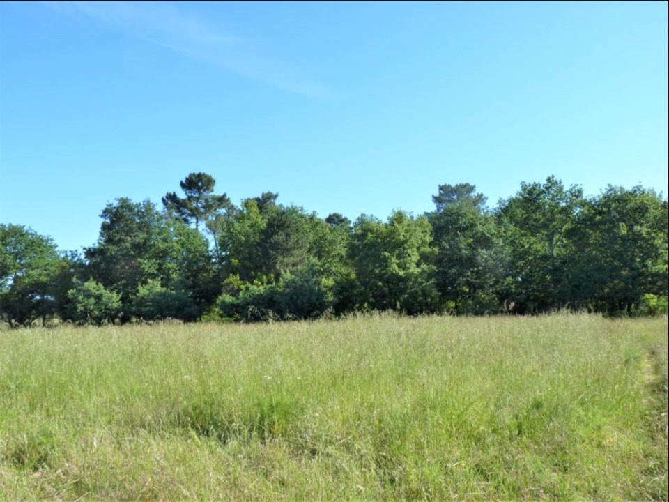 Terrain à bâtir à Le Barp (33114)