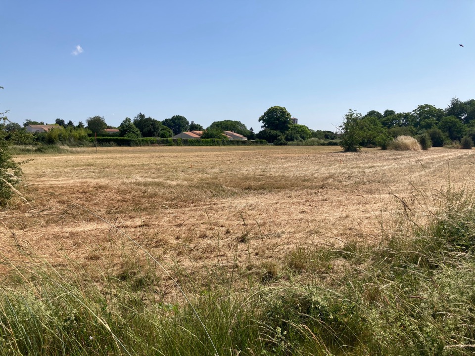 Terrain à bâtir à Corme-Écluse (17600)