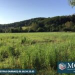 Terrain à bâtir à Salies-de-Béarn (64270)