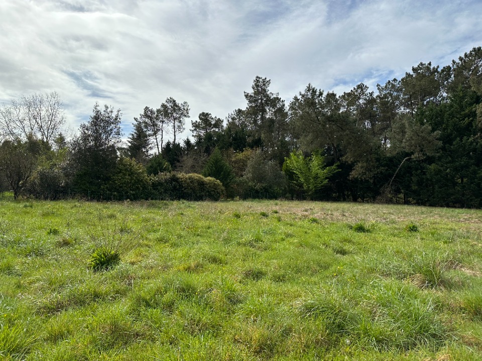 Terrain à bâtir à Saint-Selve (33650)