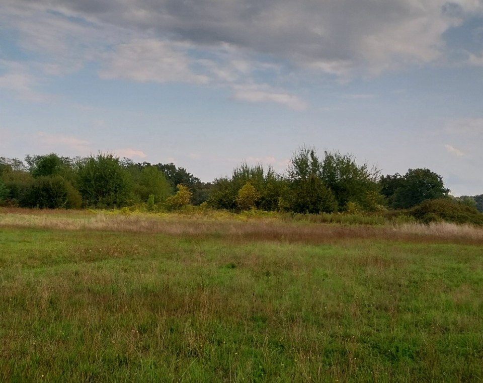 Terrain à bâtir à Margaux (33460)