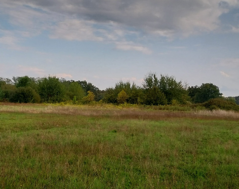Terrain à bâtir à Croignon (33750)