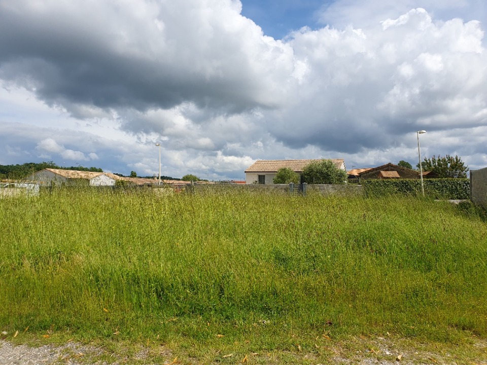 Terrain à bâtir à Cubnezais (33620)