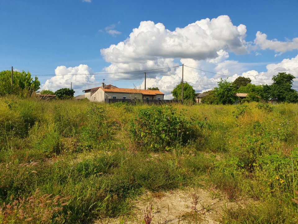 Terrain à bâtir à Pugnac (33710)