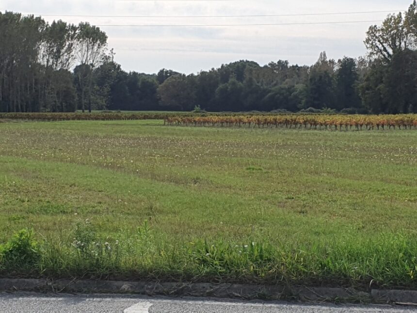 Terrain à bâtir à Saint-Savin (33920)