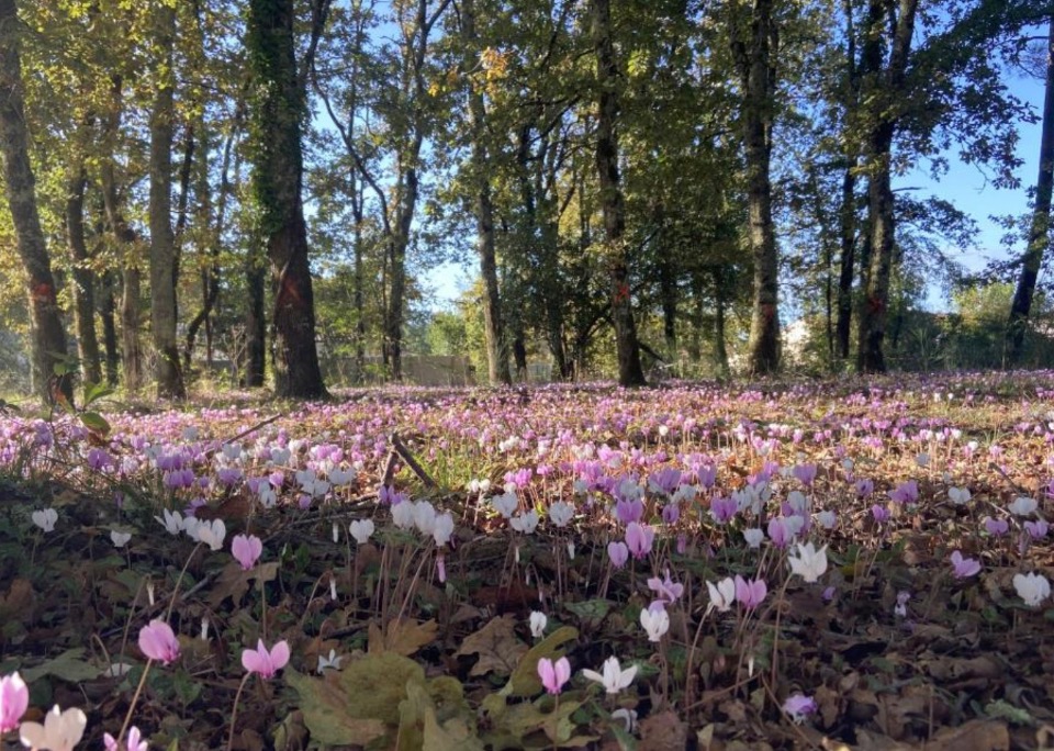 Terrain à bâtir à Bordeaux (33300)