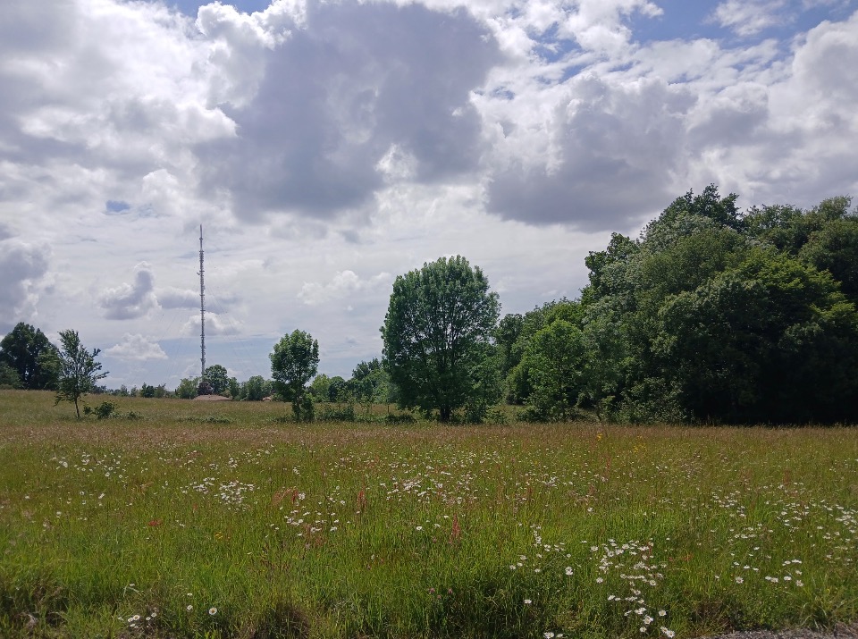Terrain à bâtir à Carignan-de-Bordeaux (33360)