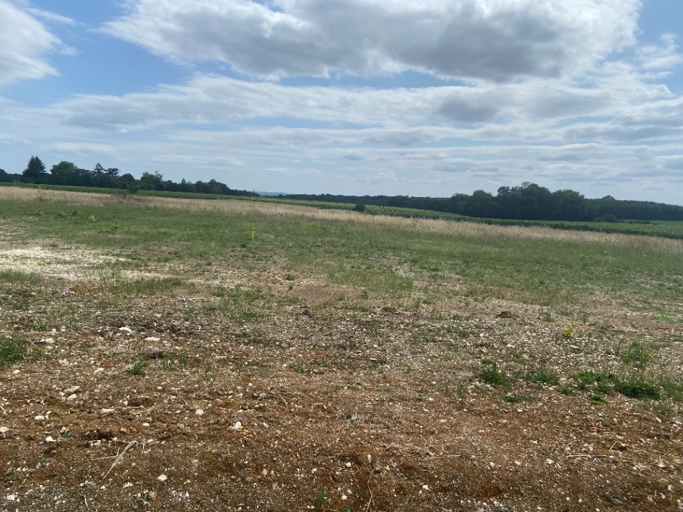 Terrain à bâtir à Cognac (16100)