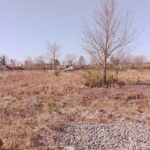 Terrain à bâtir à Mios (33380)