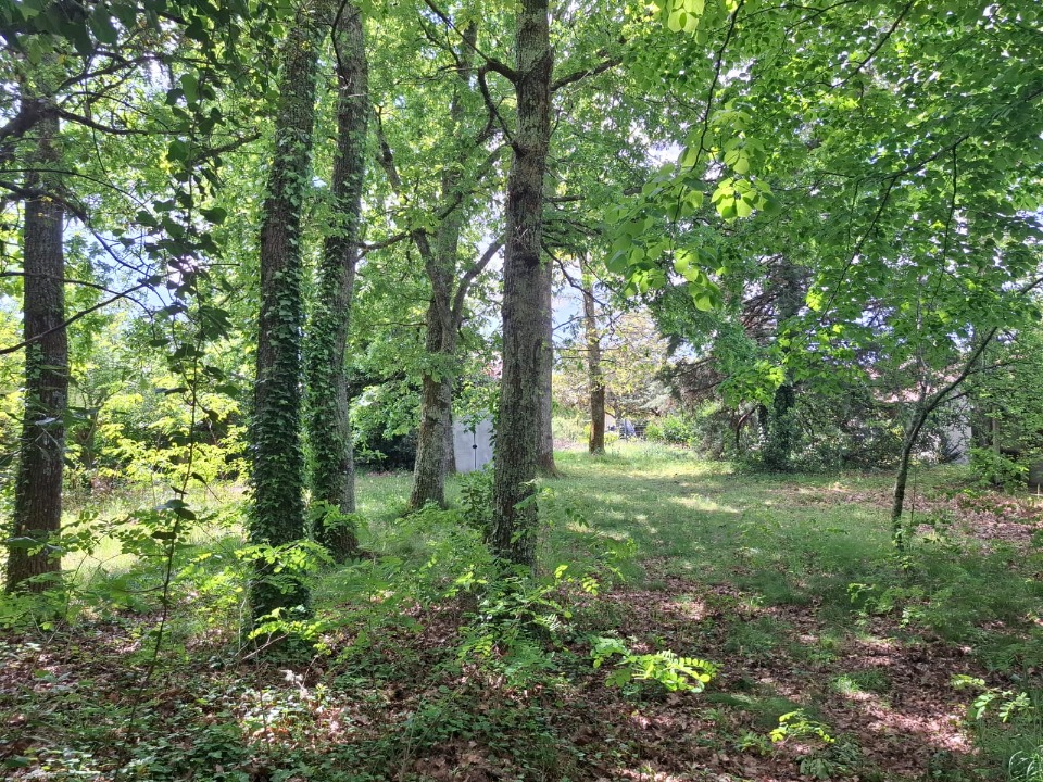 Terrain à bâtir à Gujan-Mestras (33470)