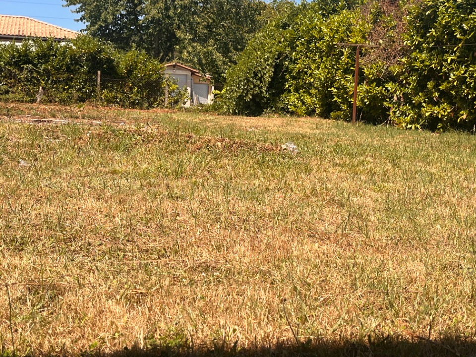 Terrain à bâtir à Léognan (33850)