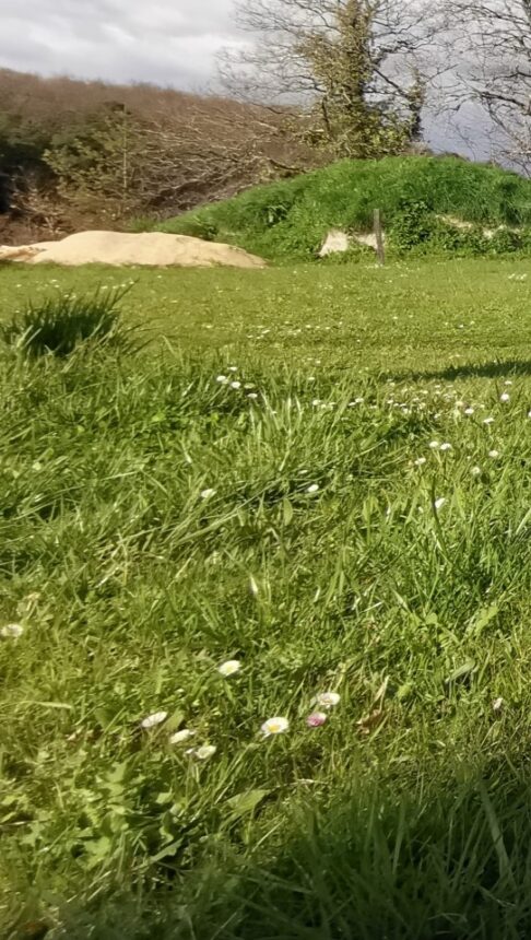 Terrain à bâtir à Périgueux (24000)