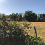 Terrain à bâtir à Lanton (33138)