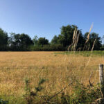 Terrain à bâtir à Lanton (33138)