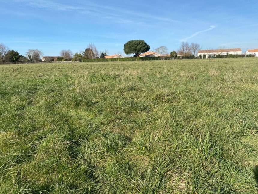 Terrain à bâtir à Corme-Royal (17600)