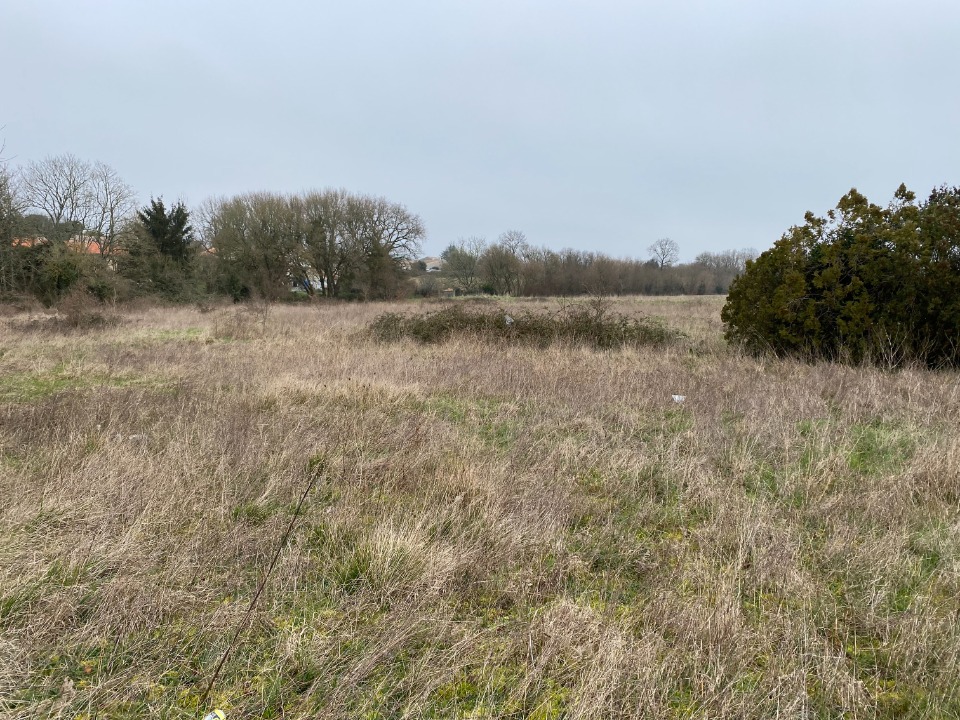 Terrain à bâtir à Pont-l’Abbé-d’Arnoult (17250)