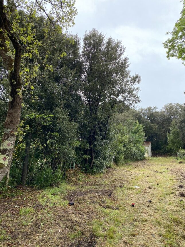 Terrain à bâtir à Saint-Pierre-d’Oléron (17310)
