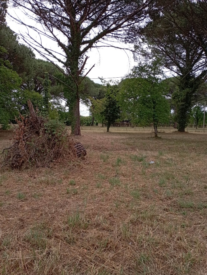 Terrain à bâtir à Saint-Maixant (33490)