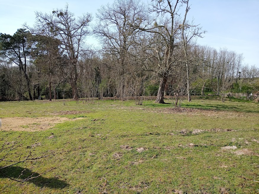 Terrain à bâtir à Pompéjac (33730)
