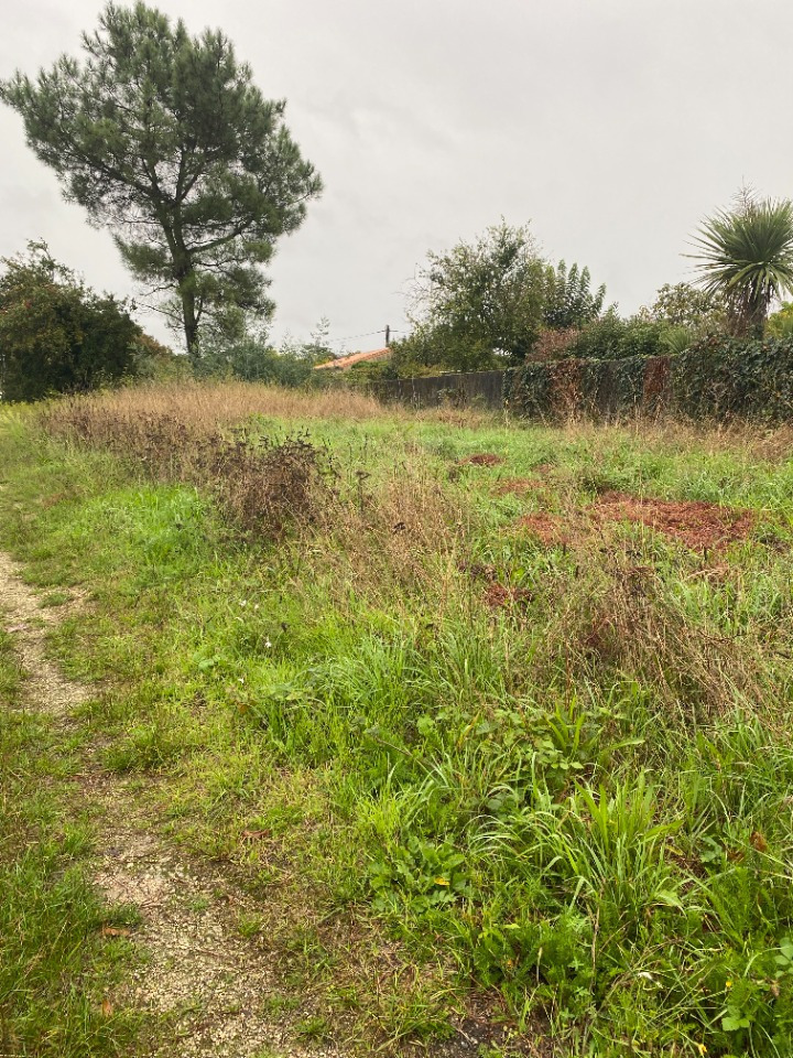 Terrain à bâtir à Blanquefort (33290)