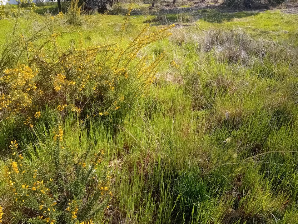 Terrain à bâtir à Le Teich (33470)