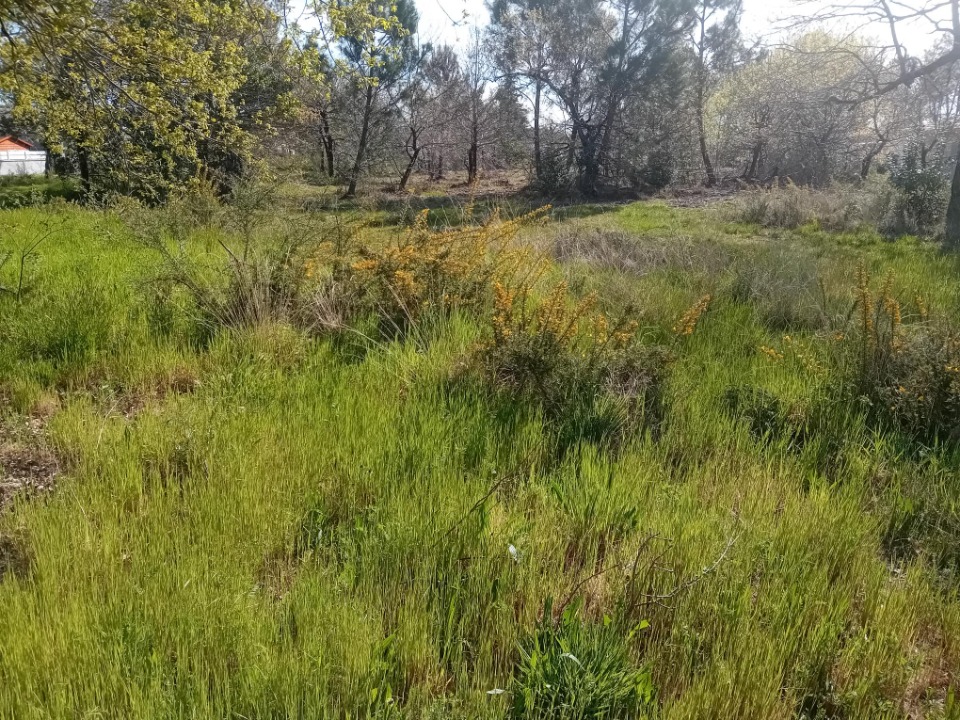 Terrain à bâtir à Biganos (33380)