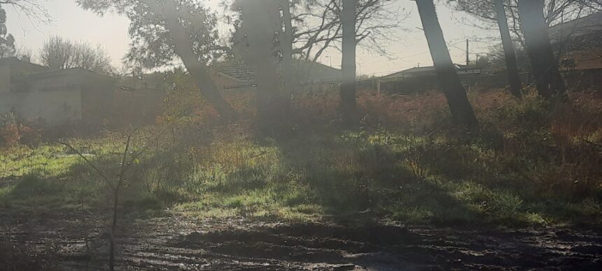 Terrain à bâtir à Mios (33380)