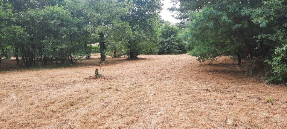 Terrain à bâtir à Salles (33770)