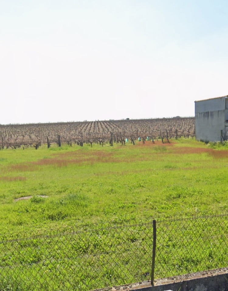 Terrain à bâtir à Portets (33640)