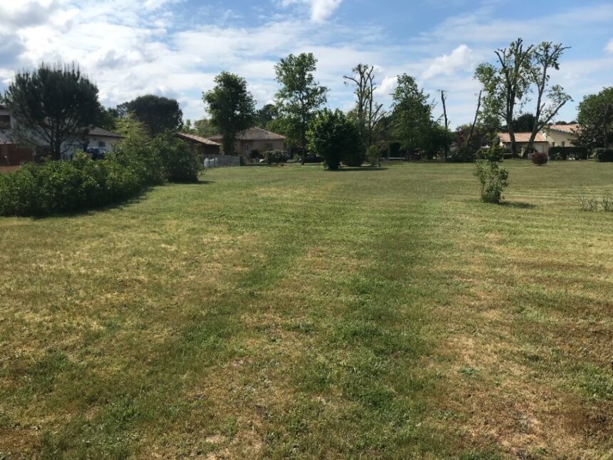 Terrain à bâtir à Pissos (40410)