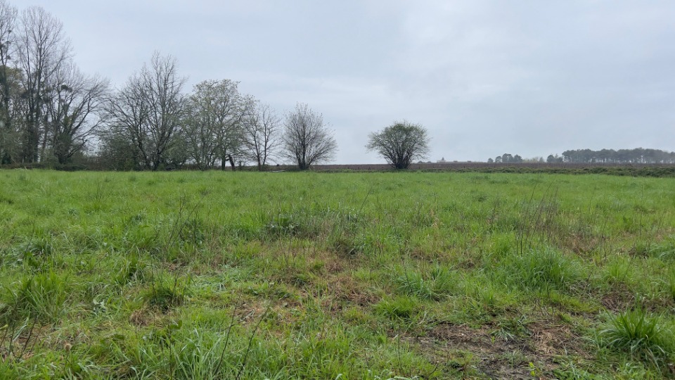 Terrain à bâtir à Montussan (33450)