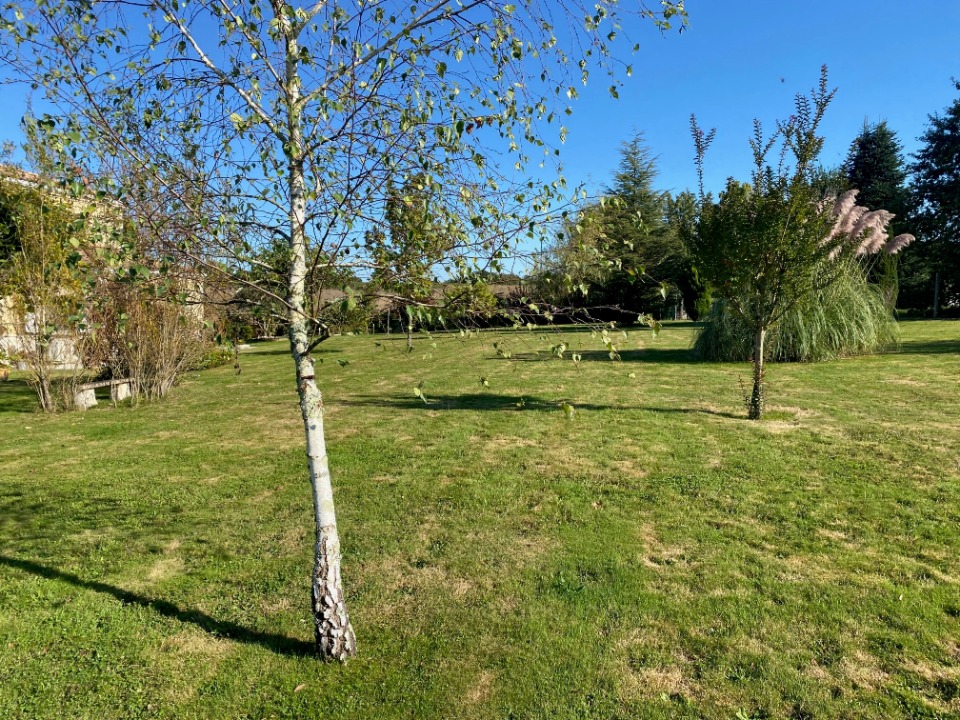 Terrain à bâtir à Cessac (33760)