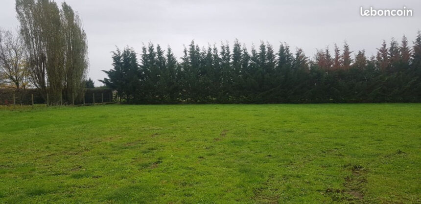 Terrain à bâtir à Louchats (33125)